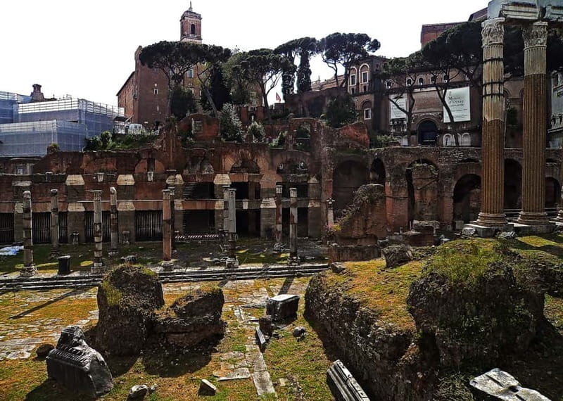 Colosseum, Forum & Palatine Hill Guided Walking tour - Roman Forum: reading power and public life in the ruins