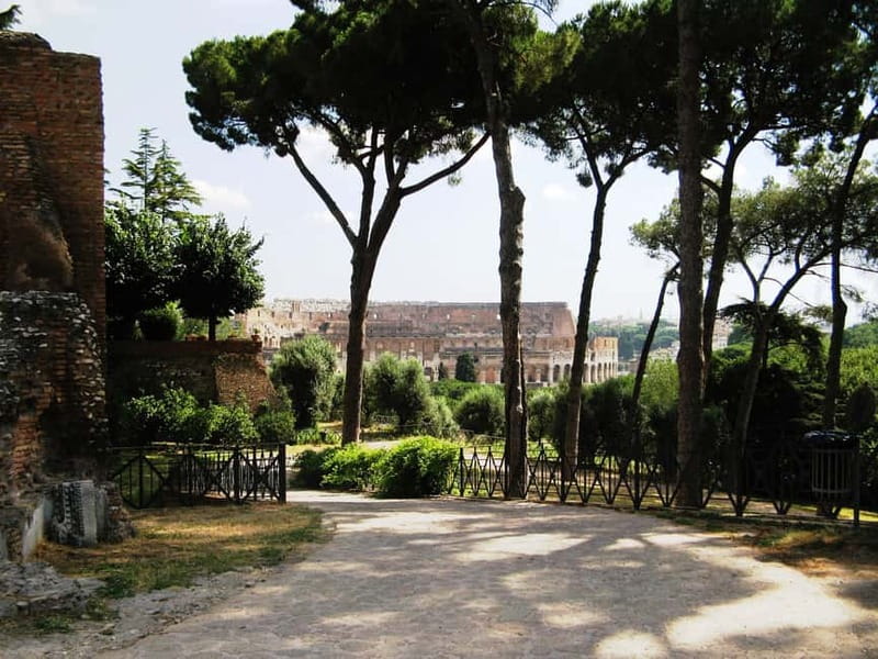 Colosseum, Forum & Palatine Hill Guided Walking tour - How long it really feels: pacing, stamina, and smart clothing