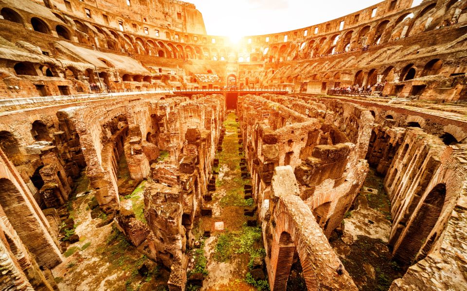 Colosseum: Semi Private Tour with VIP Arena Access - Underground level view (but not the full Underground): what you’ll actually see