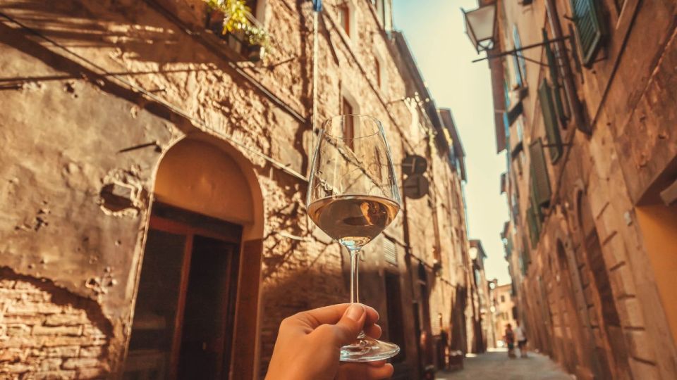 Frascati Wine Road from Rome: Tasting & Lunch - Getting There and Back: Termini to Frascati Without the Headaches