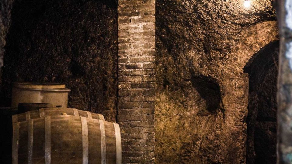Frascati Wine Road from Rome: Tasting & Lunch - Who This Tour Is Best For (and Who Should Pass)