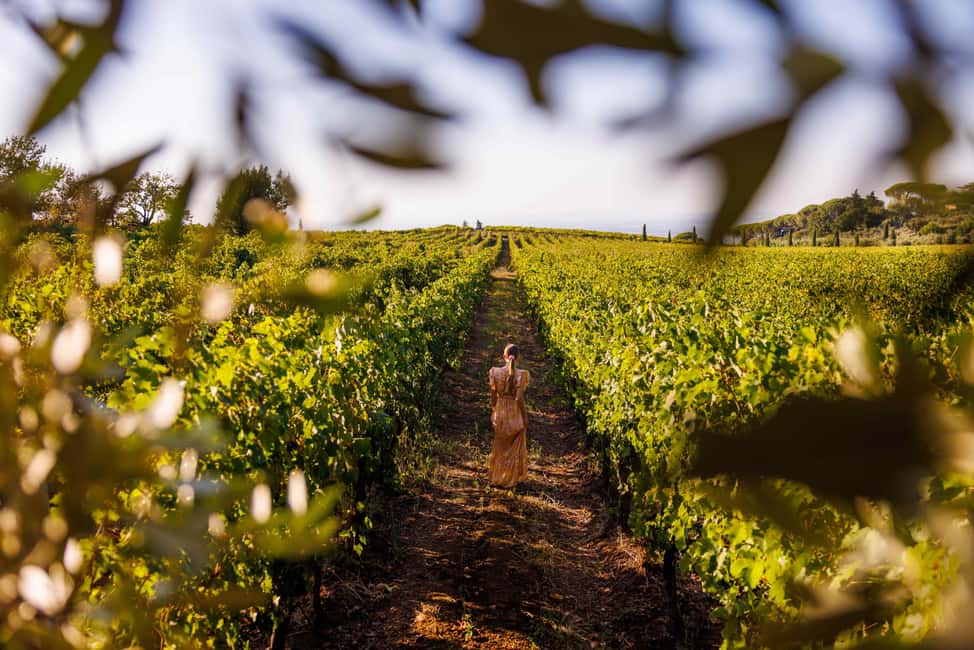 From Rome: Frascati Wine Region Tour with Wine Tasting - Key things to know before you go