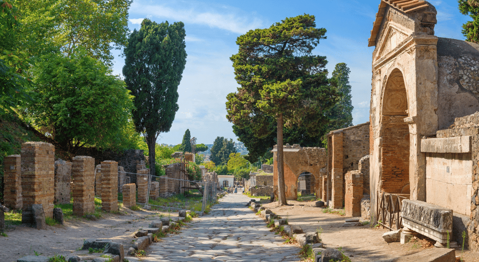 From Rome: Pompeii and Herculaneum Tour w/ High-speed Train - Price and Value: Is $201.75 Worth It?
