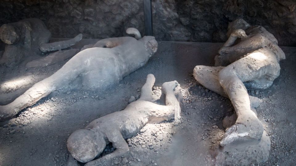 From Rome: Pompeii and Naples Day Trip by High-Speed Train - Cost and Value: Is $259 Reasonable for This Plan?