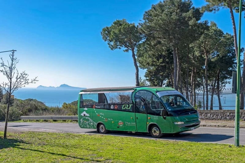 From Rome: Pompeii and Vesuvio Guided Day Trip with Lunch - Pompeii and Vesuvius in one day: the real tradeoff