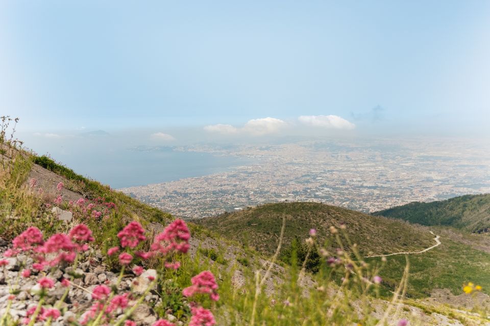From Rome: Pompeii Day Trip with Optional Vesuvius and Lunch - Who this tour suits (and who should think twice)