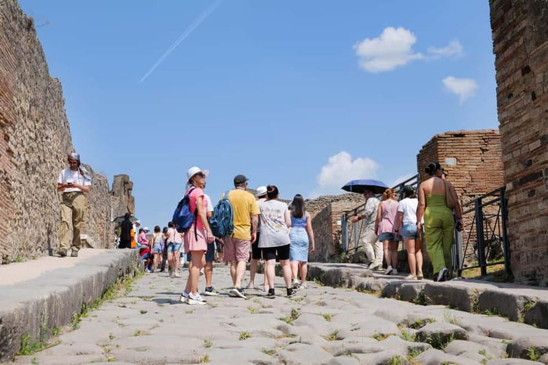 From Rome: Pompeii Ruins Tour with Expert Guide & Fast Train - Naples Meet Point and the Transfer to Pompeii: How the Day Gets You There