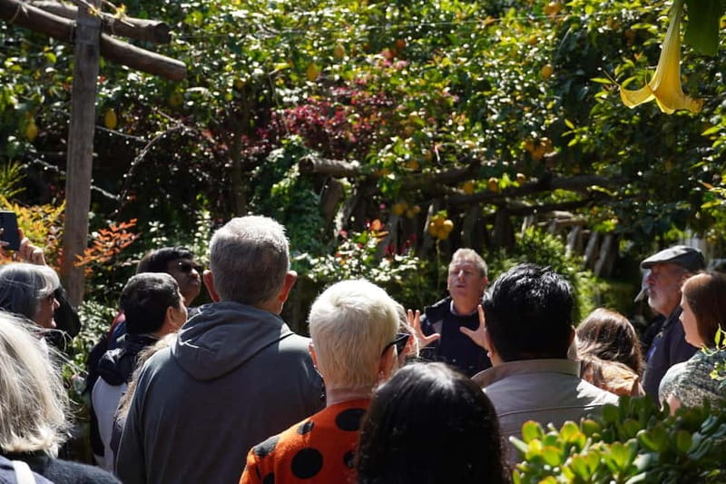 From Rome: Sorrento & Pompeii Day Trip with Guide or Ticket - The Sorrento Block: Free Time Plus Limoncello Tasting