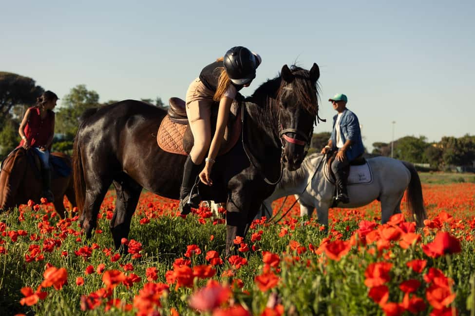 Horse Sanctuary in Rome - Key highlights I’d plan around