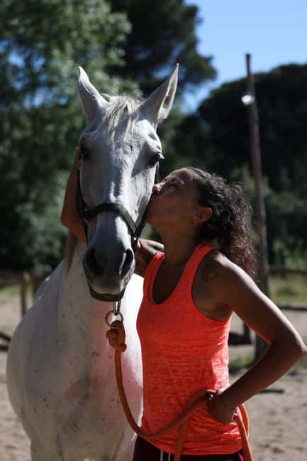 Horse Sanctuary in Rome - Rome’s Quiet Pinewoods: Why This Sanctuary Ride Feels Different