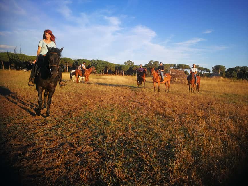 Horse Sanctuary in Rome - The Pre-Ride Lesson: From First-Time Mounts to Trot-Ready Riders