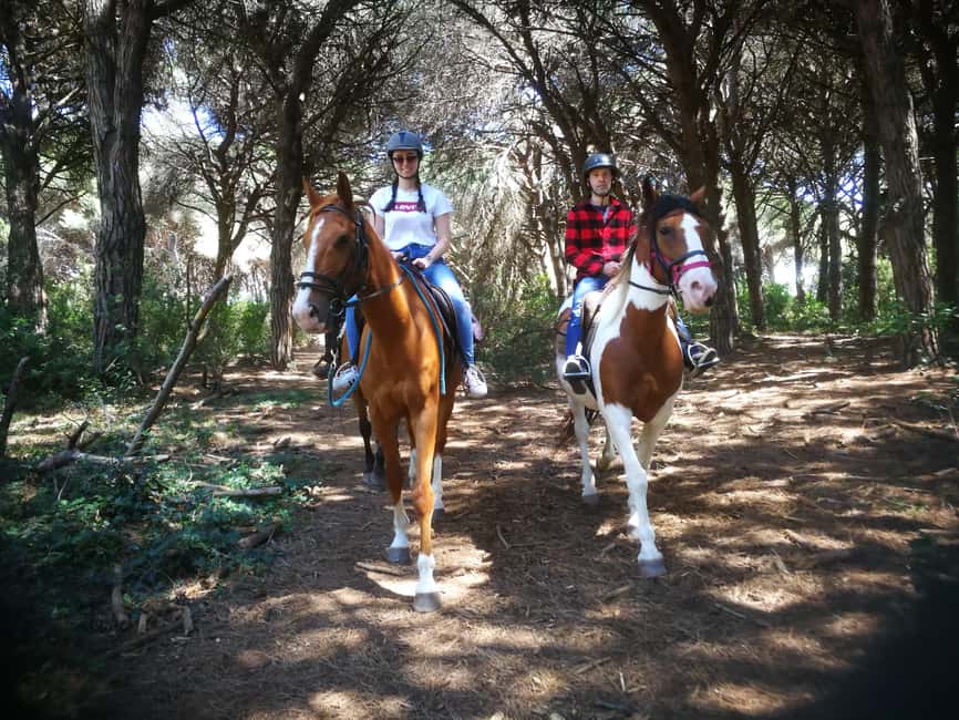 Horse Sanctuary in Rome - Riding Through Pinewood Countryside and Ancient Ostia