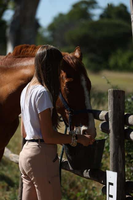 Horse Sanctuary in Rome - What the 3 Hours Actually Feels Like on the Ground