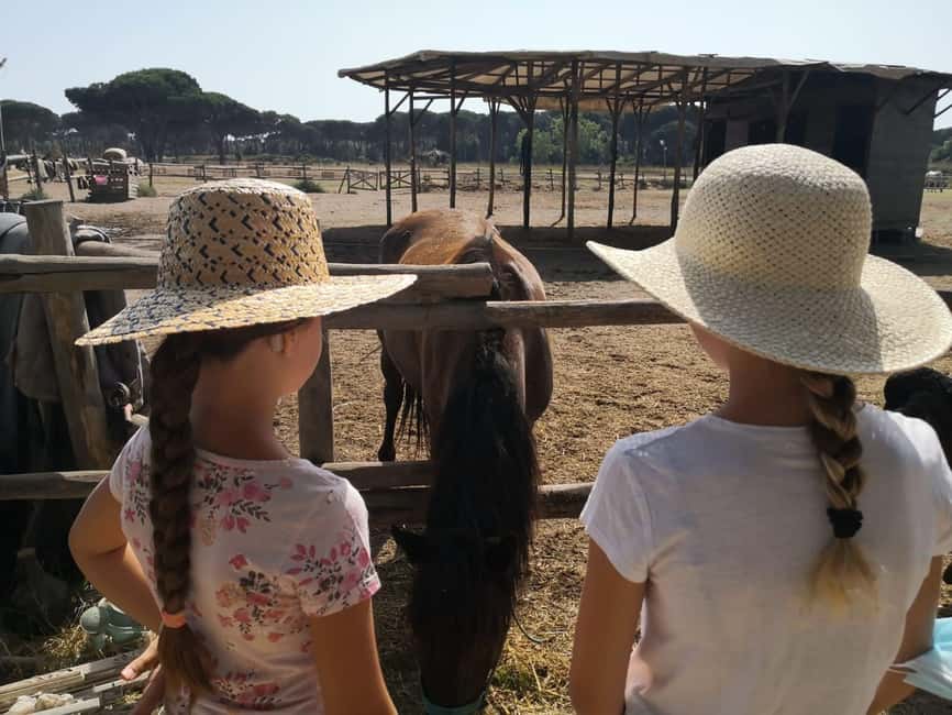 Horse Sanctuary in Rome - Price and Value: Is $106 Worth It?