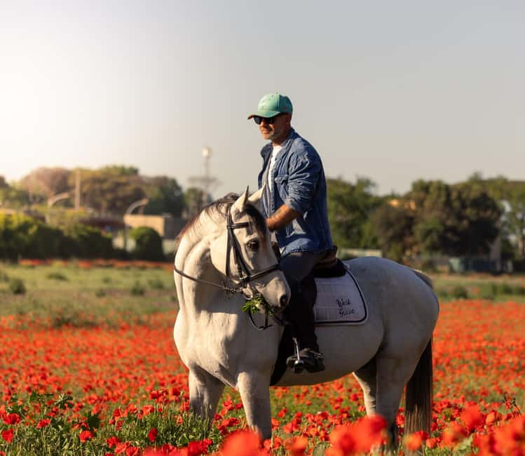 Horse Sanctuary in Rome - Meeting Alessia at the Coffee Shop and Getting to the Ranch