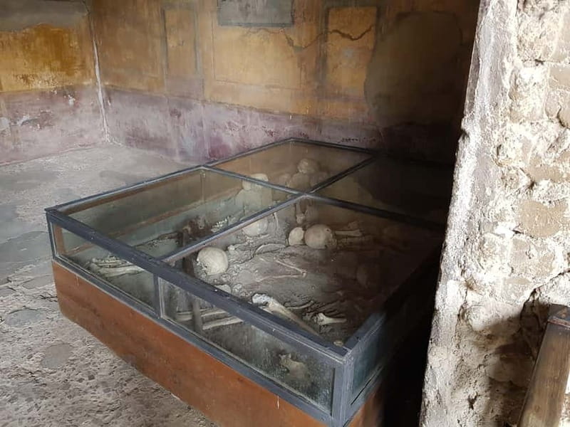 Pompeii: Entry Ticket w/ Guide and Transfers or Audio Guide - Rome transfers vs. going on your own: what’s the real difference?