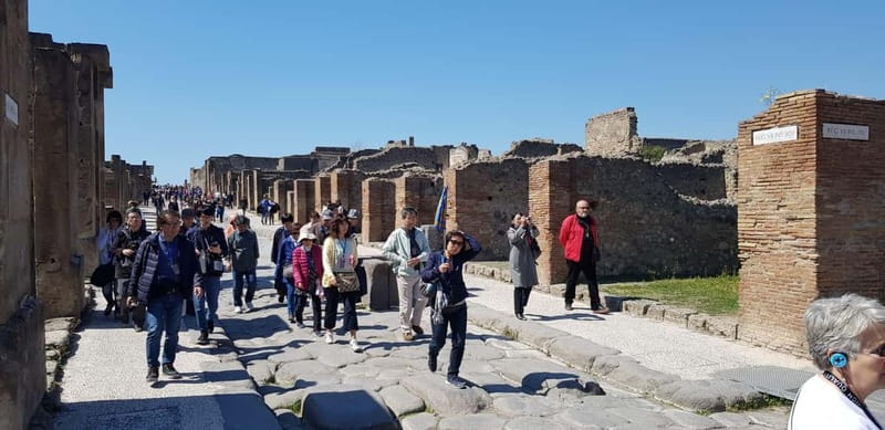 Pompeii: Entry Ticket w/ Guide and Transfers or Audio Guide - Plaster casts: the tragedy that makes Pompeii unforgettable