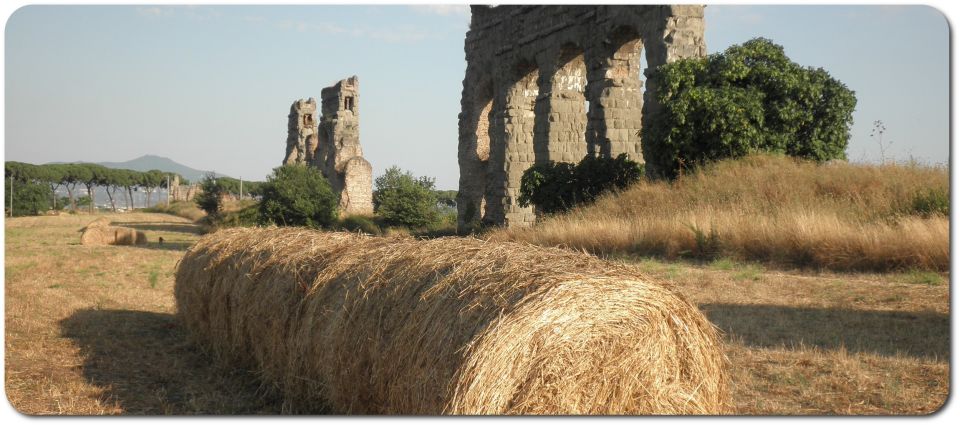 Rome: Appian Way E-Bike Tour Catacombs, Aqueducts & Picnic - Why the Appian Way on an E-Bike Beats Walking