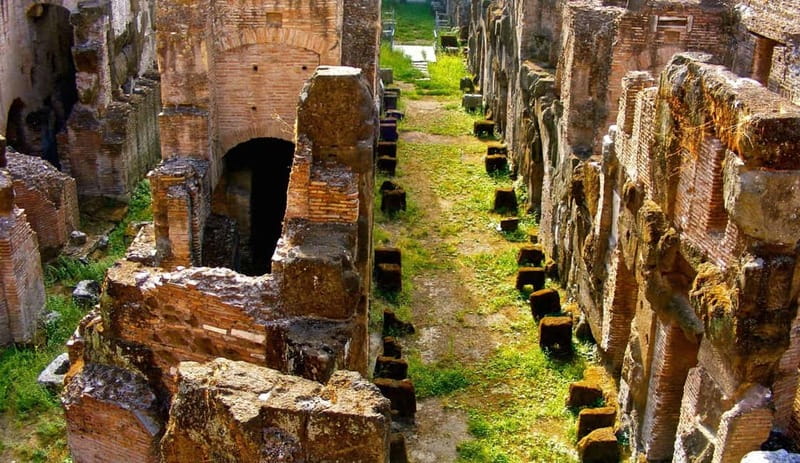 Rome: Colosseum Gladiator's Arena and Roman Forum Tour - Price and value: what $64 buys you here