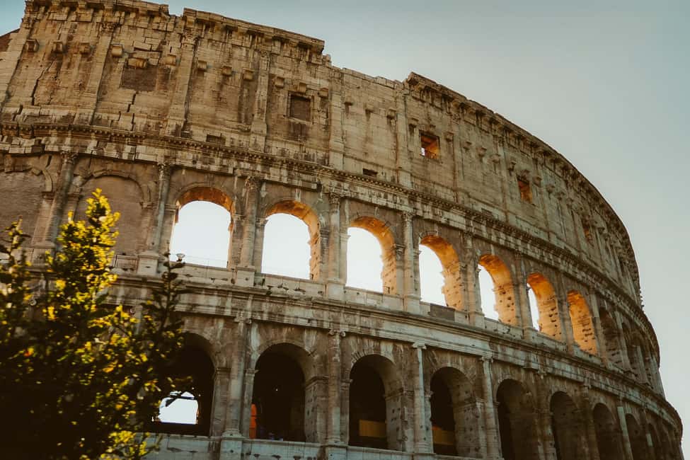 Rome: Colosseum, Palatine Hill, and Forum Guided Experience - Roman Forum and Palatine Hill: the “why it mattered” part