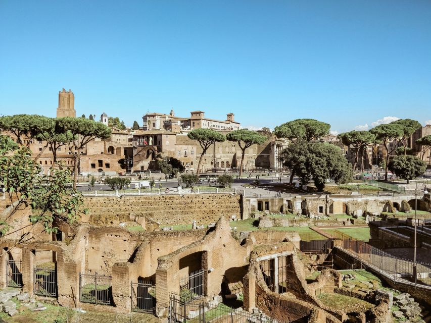 Rome: Colosseum, Roman Forum And Palatine Hill Guided Tour - Getting There and Meeting Up Without Stress