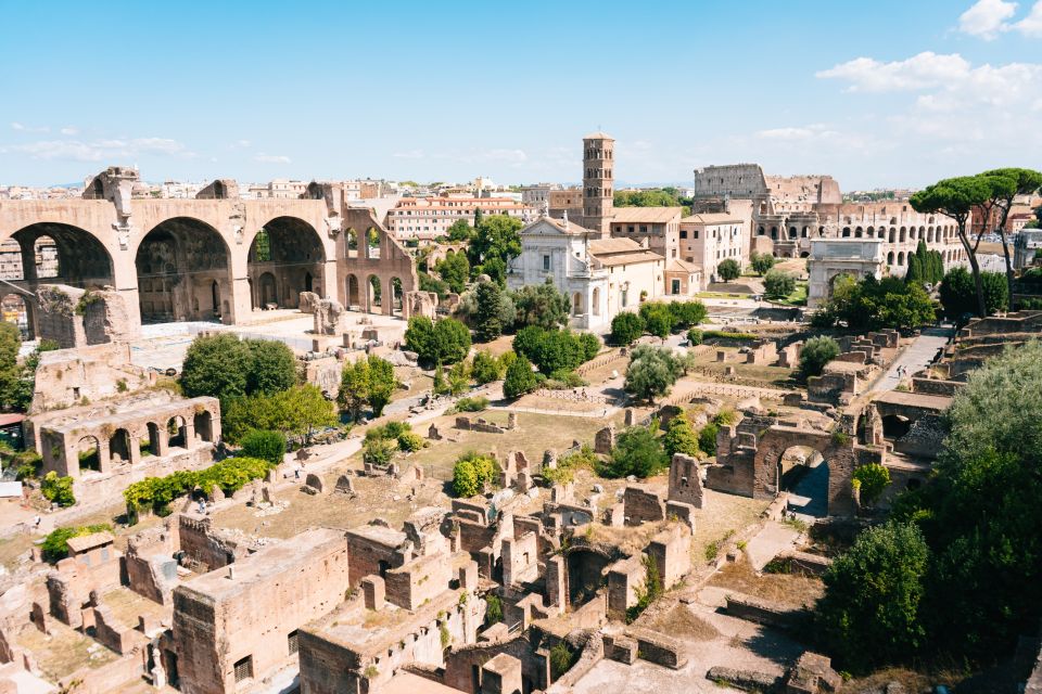 Rome: Colosseum, Roman Forum and Palatine Hill Private Tour - The Raphael and Julius II Apartments Detail