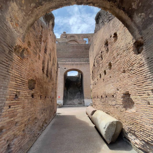 Rome: Colosseum Tour with Underground and Arena Floor Access - Palatine Hill panoramas and the Romulus-Remus legend