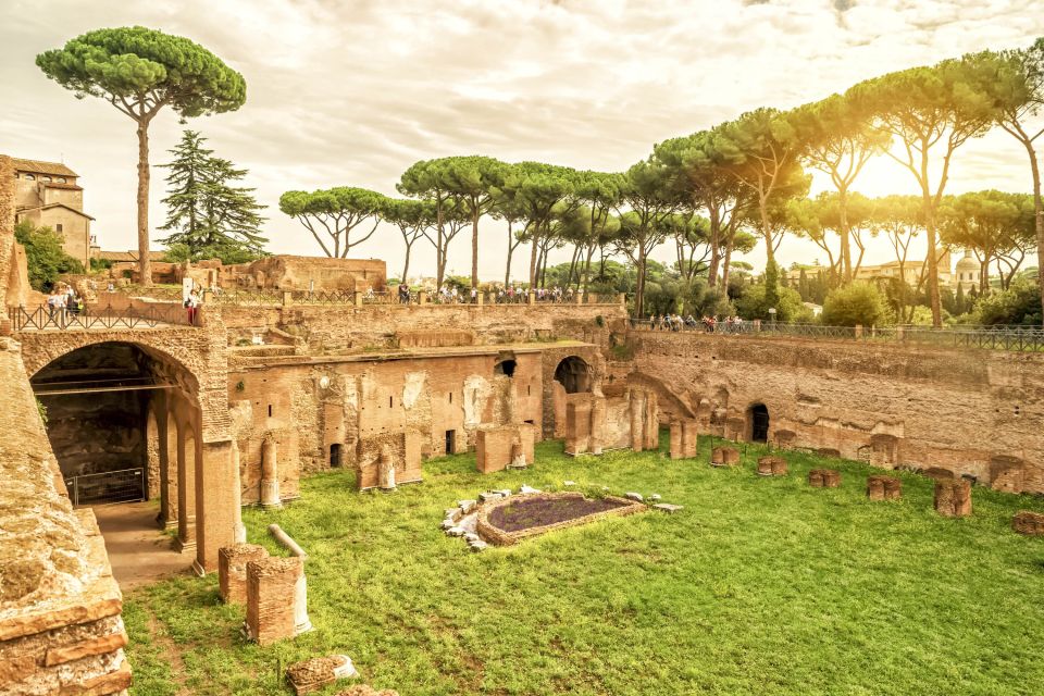 Rome: Colosseum Underground, Arena & Forum Tour - What the Guide Brings to the Colosseum (and Why It’s Not Just Facts)