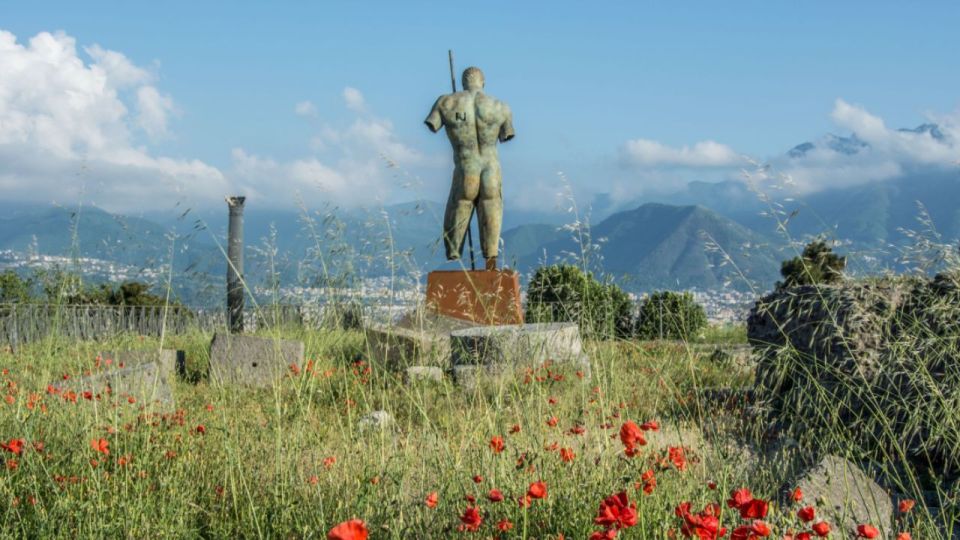 Rome: Pompeii Tour with Wine and Lunch by High Speed Train - Rome Termini Meeting Point: Easy Start if You Show Up Early