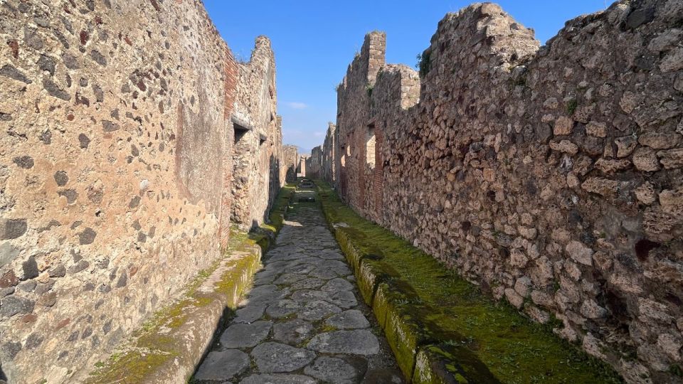 Rome: Pompeii Tour with Wine and Lunch by High Speed Train - Pompeii’s 2.5-Hour Guided Walk: What You’ll Actually See