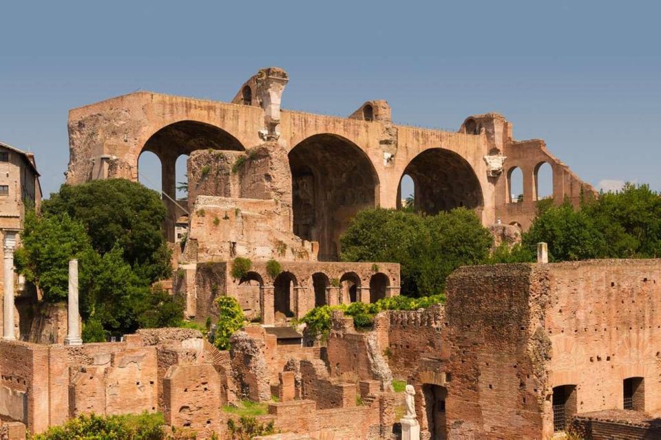 Rome: Roman Forum and Palatine Hill Licensed Guided Tour - Meeting at Largo Gaetana Agnesi: Find City Walkers above the Colosseum Metro