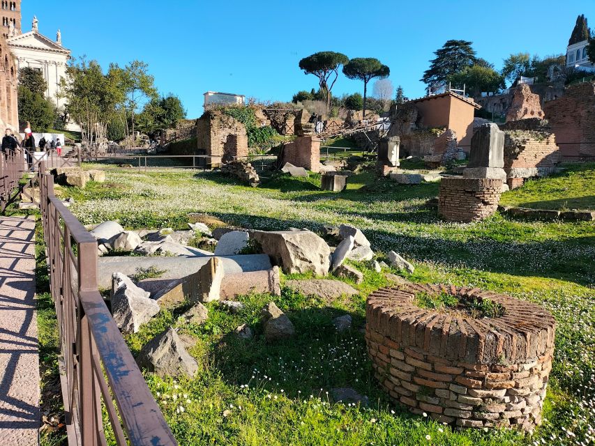 Rome: Roman Forum and Palatine Hill Licensed Guided Tour - Roman Forum routing: Temples, basilicas, and the political story you can walk